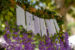 hanging_on_reduced