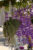 hanging_on_reduced
